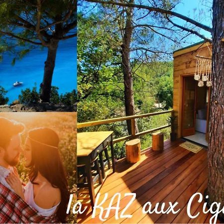 Cabane Dans Les Arbres "La Kaz Aux Cigales" Cuers Εξωτερικό φωτογραφία