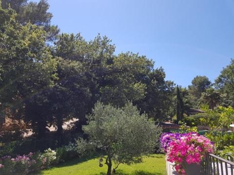 Cabane Dans Les Arbres "La Kaz Aux Cigales" Cuers Εξωτερικό φωτογραφία