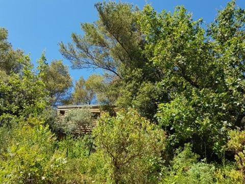Cabane Dans Les Arbres "La Kaz Aux Cigales" Cuers Εξωτερικό φωτογραφία