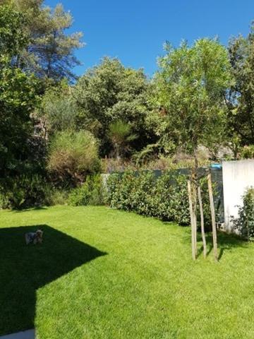 Cabane Dans Les Arbres "La Kaz Aux Cigales" Cuers Εξωτερικό φωτογραφία