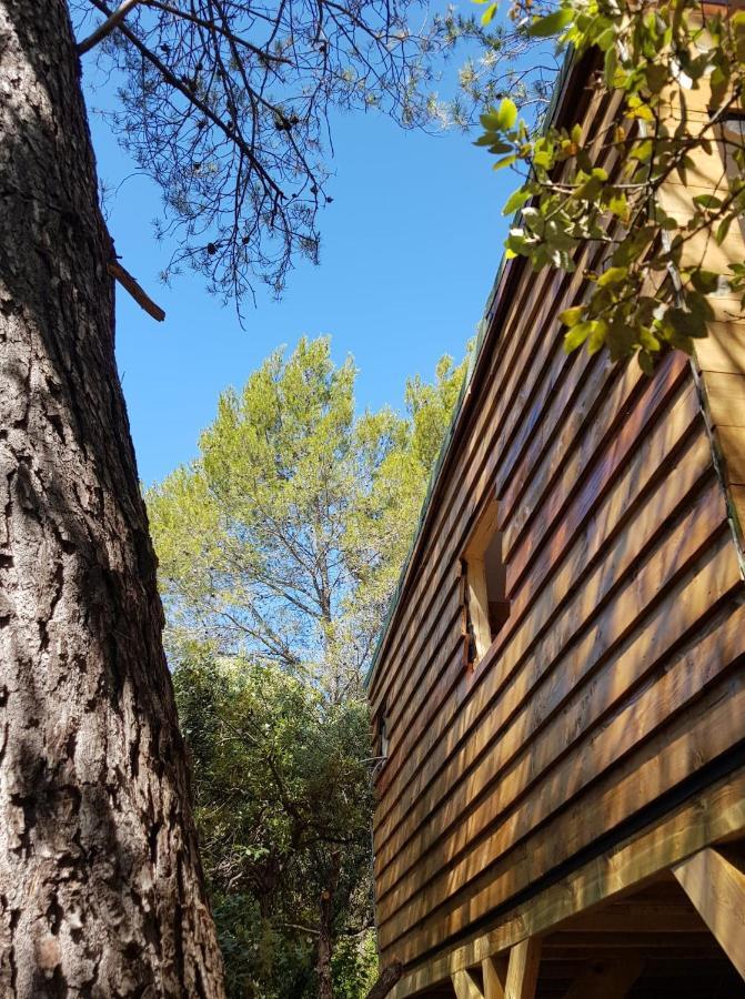 Cabane Dans Les Arbres "La Kaz Aux Cigales" Cuers Εξωτερικό φωτογραφία