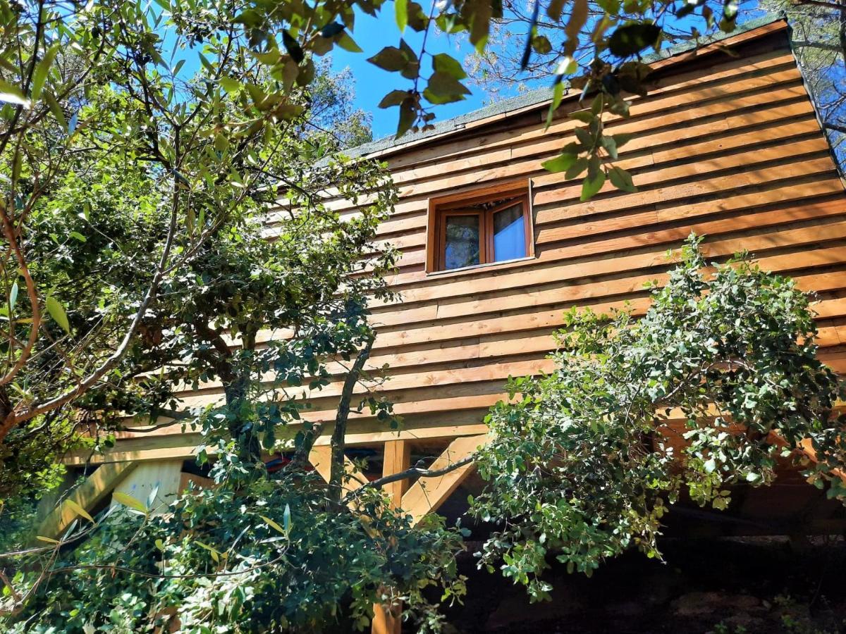 Cabane Dans Les Arbres "La Kaz Aux Cigales" Cuers Εξωτερικό φωτογραφία